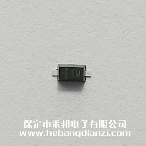 贴片1N60 检波(bō)二(èr)极管 印字FM